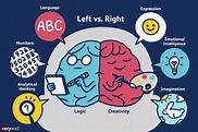 Left Brain vs. Right Brain Dominance: What's the Reality?