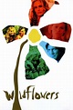 ‎Wildflowers (2000) directed by Melissa Painter • Reviews, film + cast ...