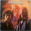 Ambrosia – How Much I Feel (1978, Vinyl) - Discogs