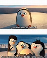 Pinguinos De Madagascar Memes, 25 Best Los Pinguinos De Madagascar ...