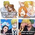 I find it funny how an official one piece media ship sanji x Zoro LOL ...