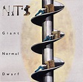 Classic Rock Covers Database: Nits - Giant Normal Dwarf (1990)