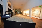 Musée d'Archéologie de Nice - site de Terra Amata | Trésors de Nice