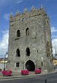 Kilmallock | Irish Walled Towns Network