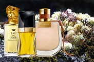 5 Best Chypre Floral Perfumes For Women | Viora London