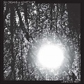 Luminous Night, Six Organs Of Admittance | LP (album) | Muziek | bol.com