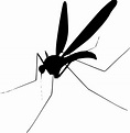 Mosquito PNG Transparent Mosquito.PNG Images. | PlusPNG