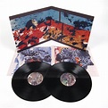 Grizzly Bear: Painted Ruins (180g) Vinyl 2LP – TurntableLab.com