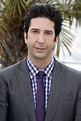 David Schwimmer - 0s1gidpwiy1vum / David schwimmer (born november 2 ...