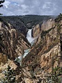 Lower Falls, Yellowstone National Park [3024x4032] [OC] : r/yellowstone