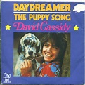 David Cassidy - Daydreamer (1973, Vinyl) | Discogs