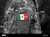 La bandera de México en soldados del brazo. La bandera de México en ...