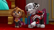 Paw Patrol Jet To The Rescue CLip 085 - YouTube