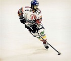 David Borrelli | Ice Hockey Wiki | Fandom