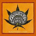 Black power flower - Brant Bjork - CD album - Achat & prix | fnac