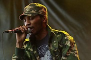 Del the Funky Homosapien Releases Free LP 'Iller Than Most'