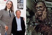 Morre Peter Mayhew, o ator que interpretou o Chewbacca ~ Memórias ...