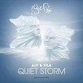 Aly & Fila - Quiet Storm (2013, Digipak, CD) | Discogs