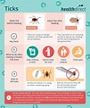 Tick bites - symptoms, treatments and prevention | healthdirect