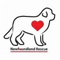 South Central Newfoundland Rescue