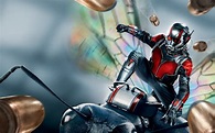 Ant Man 2015 Movie, HD Movies, 4k Wallpapers, Images, Backgrounds ...