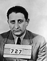 Carlo Gambino - Mafia Wiki - Wikia