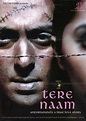 TERE NAAM: A film that gave us Salman Khan back! - Bollyworm