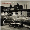 Land of milk and honey - Eliza Gilkyson - CD album - Achat & prix | fnac