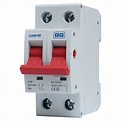 BG 100A Double Pole Main Switch Disconnector | ElectricalDirect