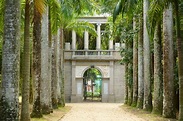Jardim Botânico do Rio de Janeiro - Passeie pelas ladeiras de palmeiras ...