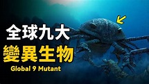 全球九大稀有變異生物！日本海下驚現大量變異巨型浮遊生物！探險家深入海底拍下驚人畫面！| 腦補大轟炸 - YouTube