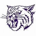 Thornton Township High School Wildcats - Harvey, IL - ScoreStream