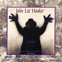 John Lee Hooker - The Healer (CD) | Discogs