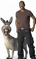 Donkey and Eddie Murphy - Shrek Photo (561102) - Fanpop
