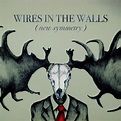 New Symmetry - Album by Wires In the Walls | Spotify