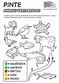 Atividades animais vertebrados e invertebrados