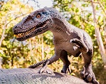 Parque dos dinossauros de Miguel Pereira abrirá as portas em outubro ...