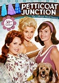 Petticoat Junction: The Official Third Season [5 Discs] [DVD] - Best Buy