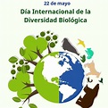 22 de Mayo – Día Mundial de la Biodiversidad – ESPACIOTECA