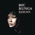 Birds, Bic Runga | CD (album) | Muziek | bol.com