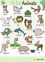Animal Names | Types of Animals | List of Animals | Animal Pictures • 7ESL