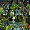 Clogs - The Creatures in the Garden of Lady Walton - Reviews - Album of ...