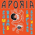 Album: Sufjan Stevens &. Lowell Brams - Aporia