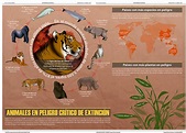Animales en Peligro de Extinción | Behance
