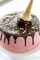 Raspberry and Chocolate Melting Ice Cream Cake - Makes, Bakes and Decor