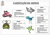 Classificação dos animais