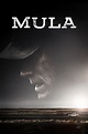 Ver La Mula online HD - Cuevana 2