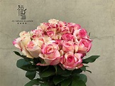 草莓牛奶玫瑰 Roses - 台灣國產的玫瑰品種 帶有微微的香氣... - 福盛園藝 Fu Sheng Garden