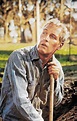 Paul Newman, mejores películas - Filmografía de Paul Newman