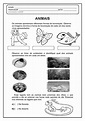 ANIMAIS-page-002.jpg (1131×1600) | Animais vertebrados e invertebrados ...